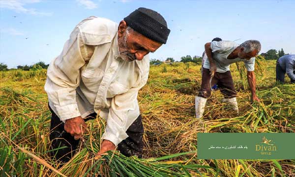 وام با سند ملکی بانک کشاورزی